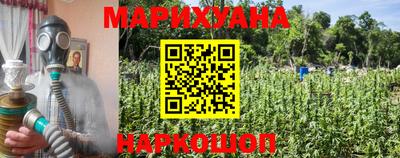 PSILOCYBIN Владимир