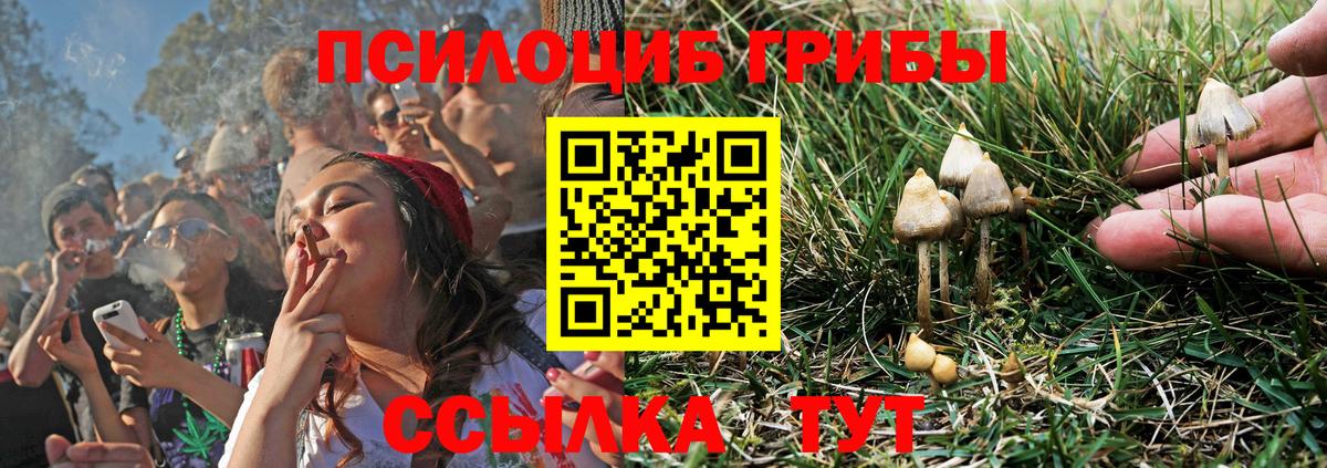 Галлюциногенные грибы мухоморы Белорецк